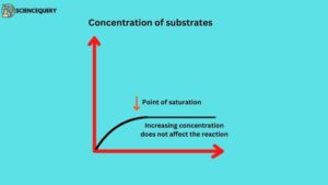 Concentration of substrates