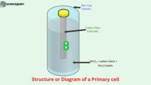 Structure or Diagram of a Primary cell