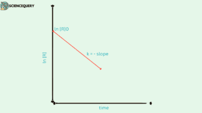 First Order Reactions - ScienceQuery