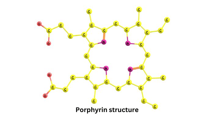 Porphyrins