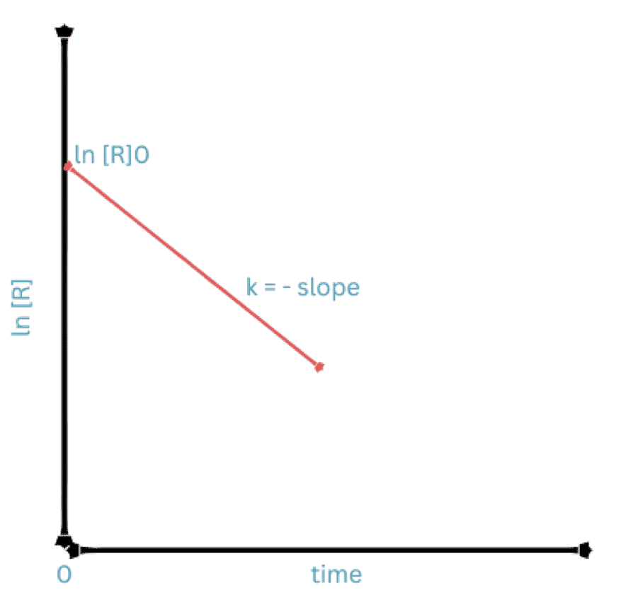 First Order Rise Shape First Order Reactions - Science Query