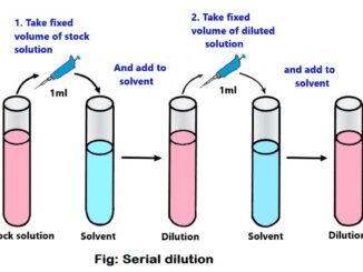 serial dilution method