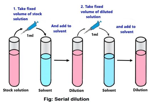 Dilution Process. Examples What is serial dilution method? And how to calculate? - ScienceQuery
