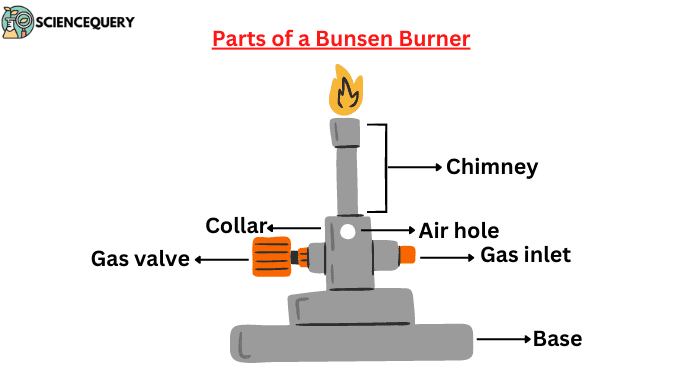 bunsen-burner-definition-and-its-parts-with-function-science-query