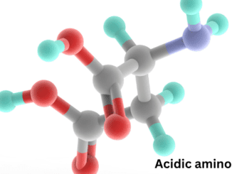 acidic amino acids