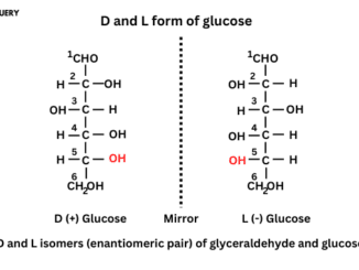 enantiomers vs diastereomers