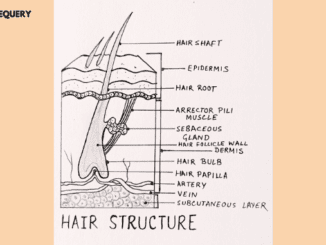 Hair structure