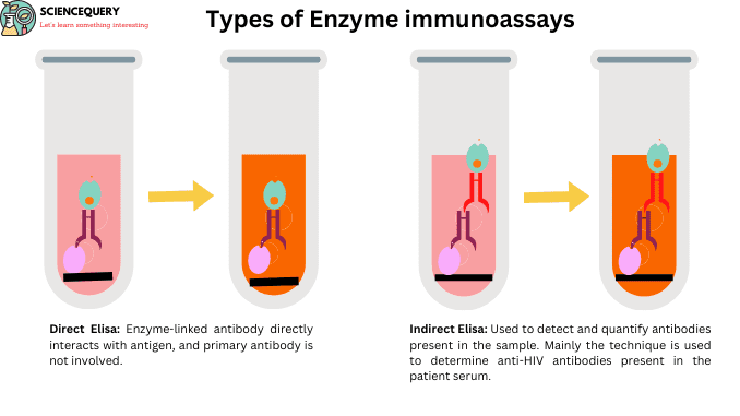 Enzyme immunoassays - ScienceQuery