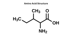 Amino acid str