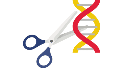 Ecoric What is an EcoRI restriction enzyme? - ScienceQuery