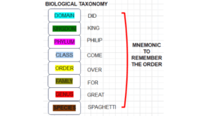 How to remember the classification