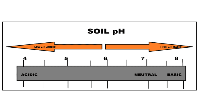 Acid soil