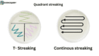 Quadrant streaking - ScienceQuery