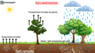 Soil salinization: Causes, effects and mitigation strategies - ScienceQuery