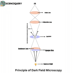 Basic principle of dark field microscopy
