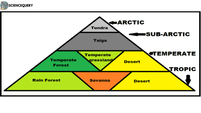 Biome