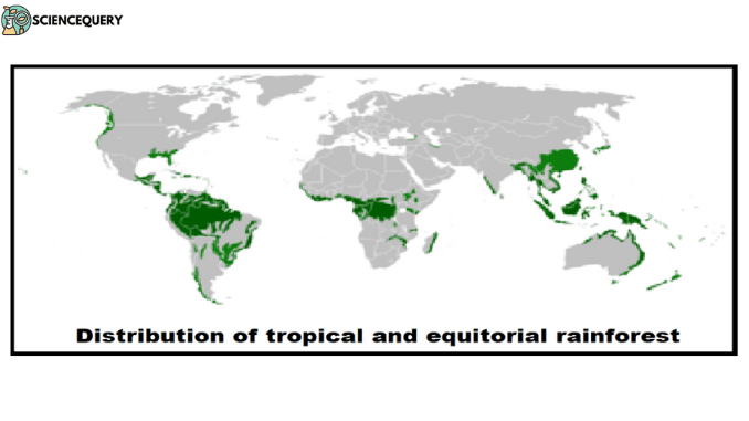 What is Biome? - Science Query