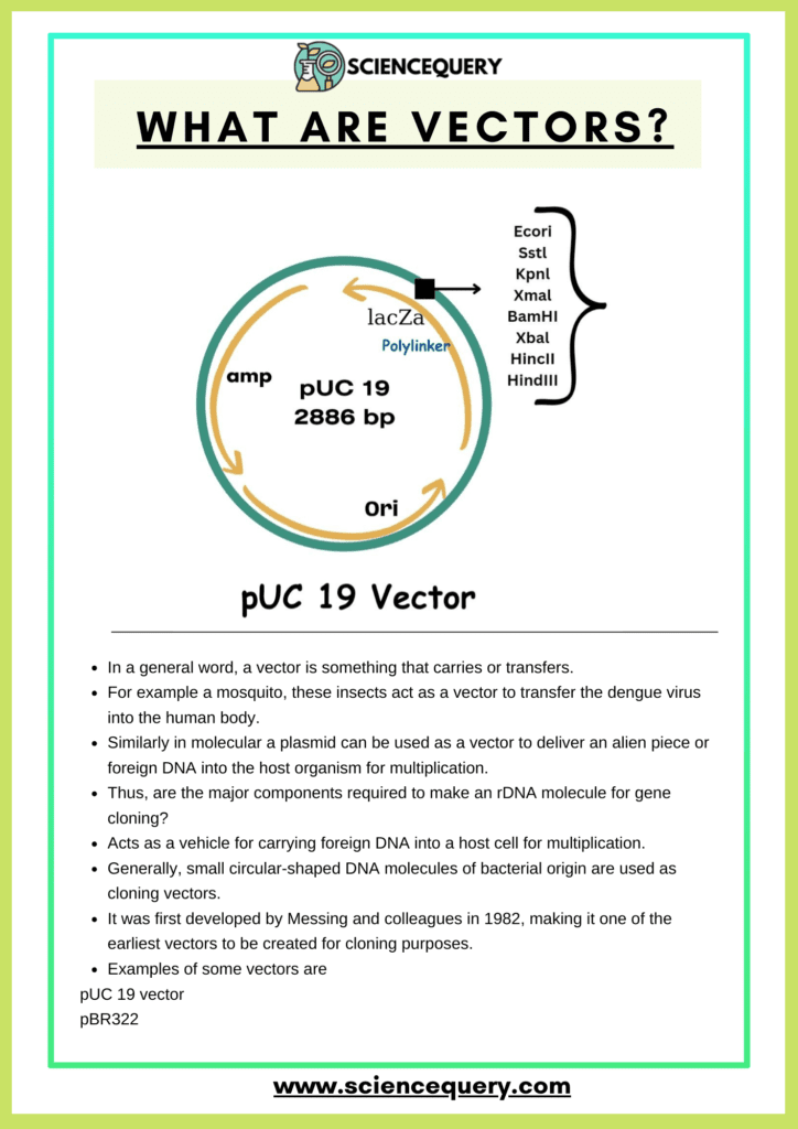What Are Vectors Short Note Sciencequery What Are Vectors Short Note Sciencequery