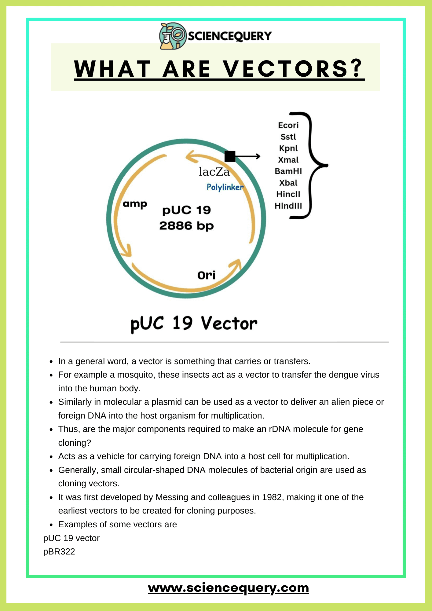 What Are Vectors Short Note Sciencequery What Are Vectors Short Note Sciencequery