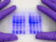 2D-gels