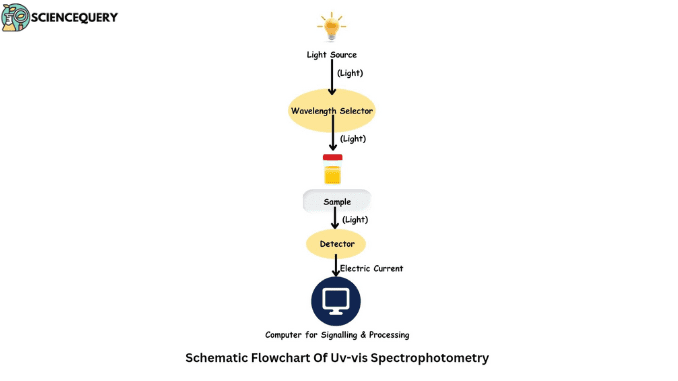 uv-vis spectrophotometry