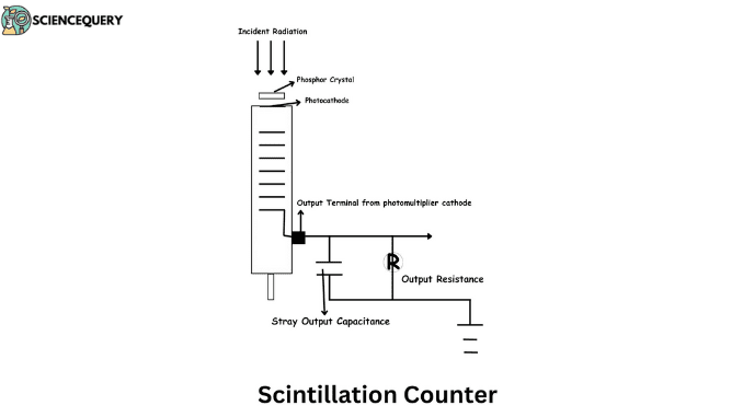 Scintillation counter