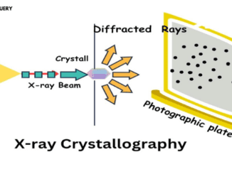 x-ray crystallography