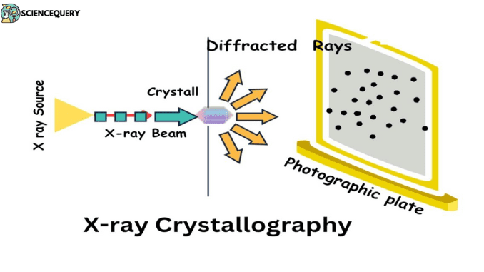 x-ray crystallography