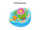 Cell Organelles