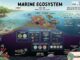 marine ecosystem